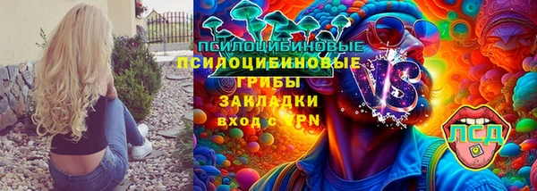 ГАЛЛЮЦИНОГЕННЫЕ ГРИБЫ Кодинск