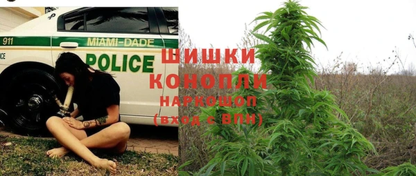ГАЛЛЮЦИНОГЕННЫЕ ГРИБЫ Кодинск
